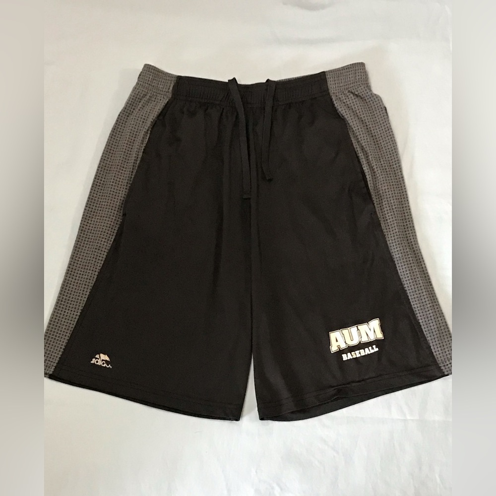 Mens Black & Gray Adidas Climacool Dri-Fit Athletic Shorts
Gym
AUM Baseball - Picture 8 of 15